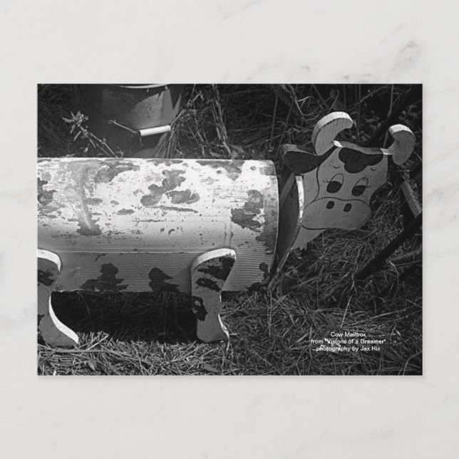 Cartão Postal Caixa de Correio de Vaca (Frente)