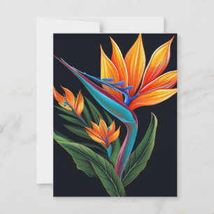 Cartão Postal Caixa de Presente FLORAL nº 11