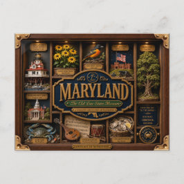 Cartão Postal Caixa de Sombra de Maryland 3D Figura Estado