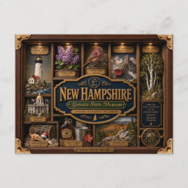 Cartão Postal Caixa de Sombra de New Hampshire Figura 3D do Esta