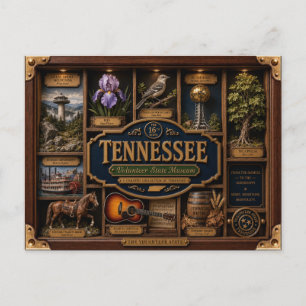 Cartão Postal Caixa de Sombra do Tennessee 3D Estado Figurativo