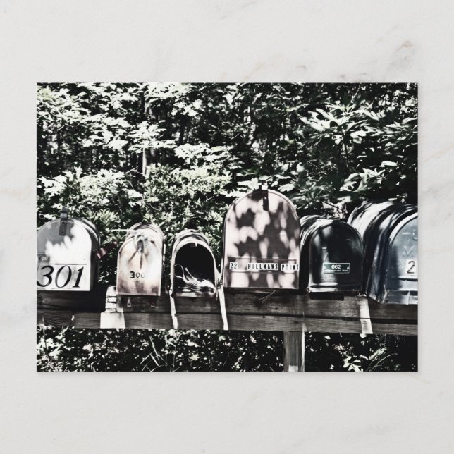 Cartão Postal Caixas de correio no Vineyard (Frente)