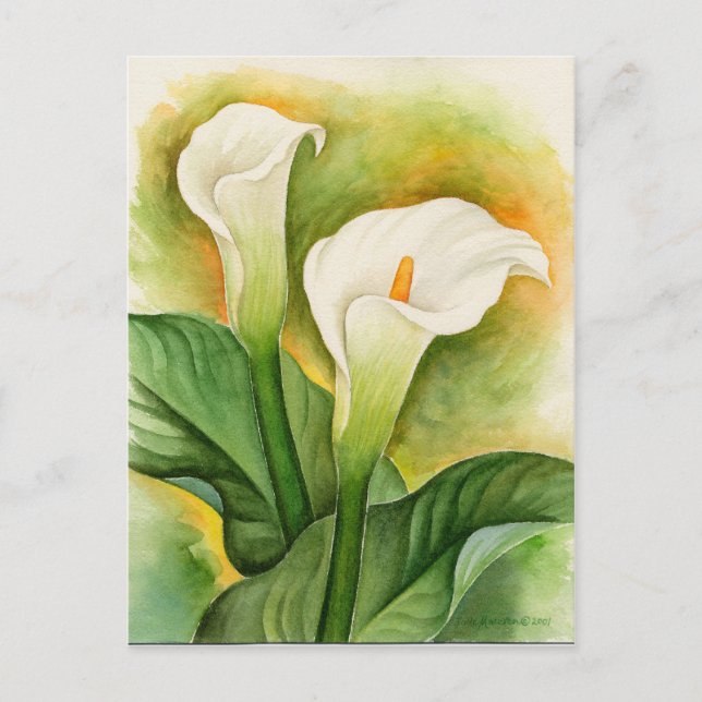 Cartão Postal Cala Branca Lily Floral Watercolor (Frente)