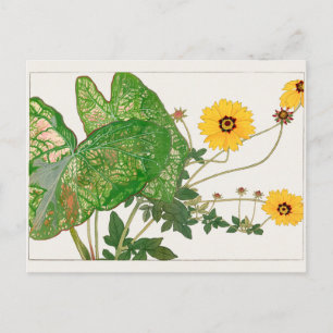 Cartão Postal Caládio com folhas de rico, Coreopsis por Tanigami