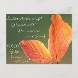 Cartão Postal Calado de Schlecht? Gestresst! A mulher machista e