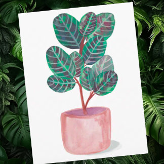 Cartão Postal Calathea Prayer Plant Watercolor