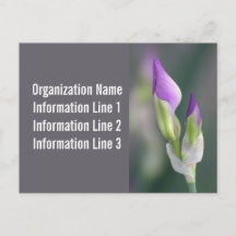 Calendário de Postais Personalizados da Empresa 20