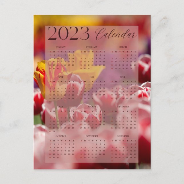 Cartão Postal calendrier 2023 beau motif tulip (Frente)
