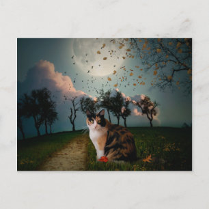 Cartão Postal Cali Moon