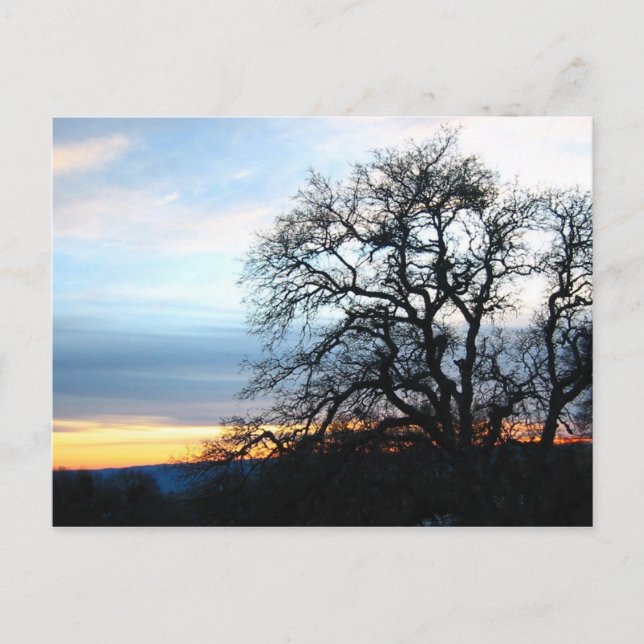 Cartão Postal Califórnia (Frente)