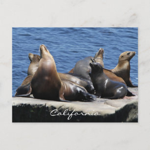 Cartão Postal Califórnia
