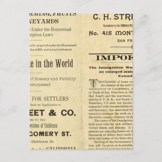 Cartão Postal Califórnia 2 (Frente)