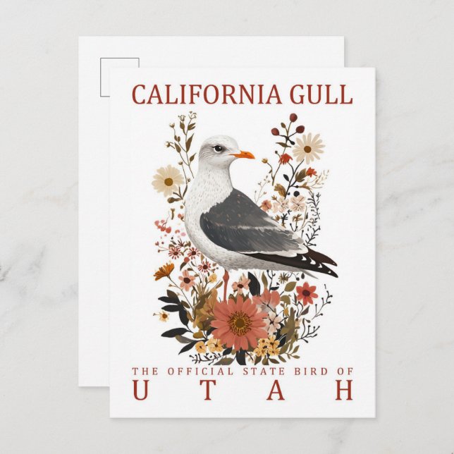 Cartão Postal California Gull Bird de Utah Viagem (Frente/Verso)
