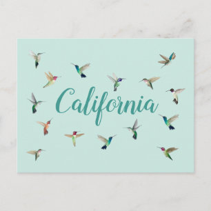 Cartão Postal California Hummingbird