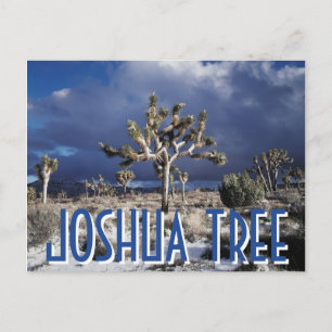 Cartão Postal Califórnia, Parque Nacional Joshua Tree