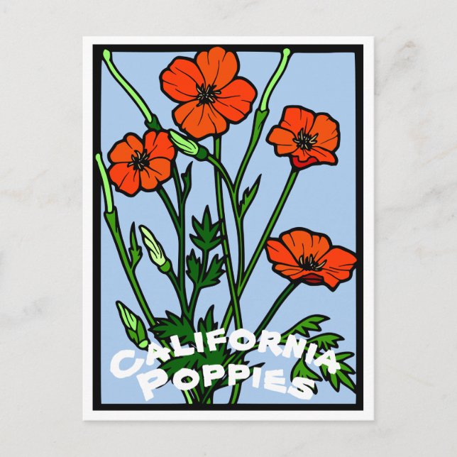Cartão Postal California Poppies Vintage (Frente)
