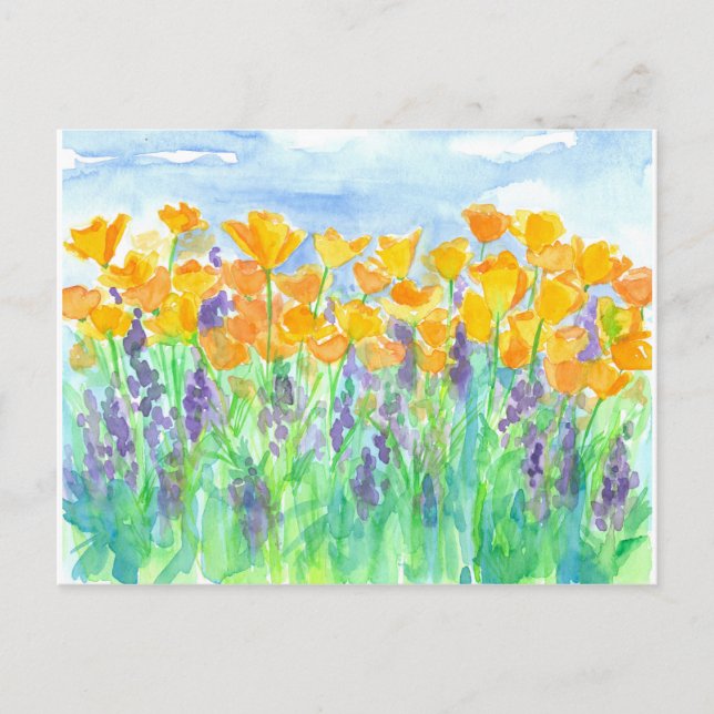 Cartão Postal California Poppies Watercolor Painting (Frente)