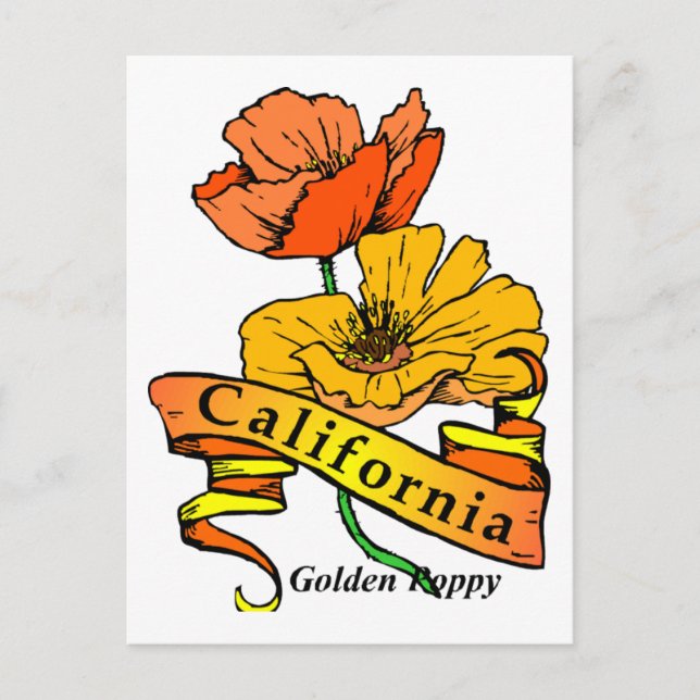 Cartão Postal California Poppy (Frente)