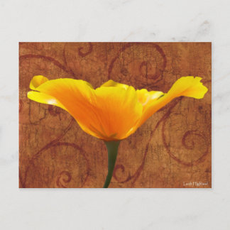 Cartão Postal California Poppy