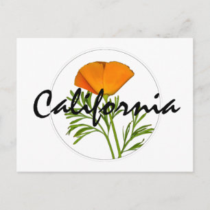 Cartão Postal California Poppy em um Círculo, Texto "California"