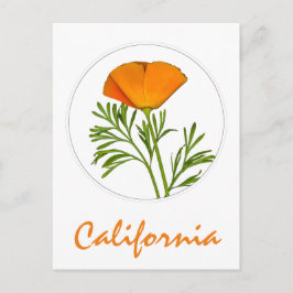 Cartão Postal California Poppy em um Círculo, Texto "California"