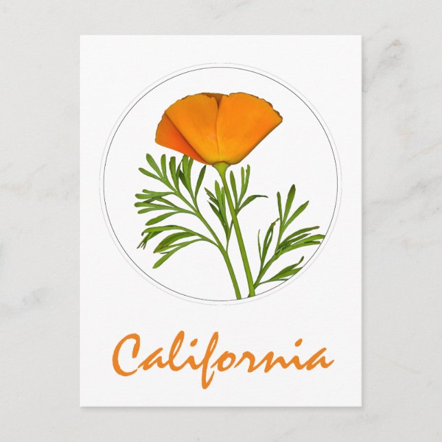 Cartão Postal California Poppy em um Círculo, Texto "California" (Frente)