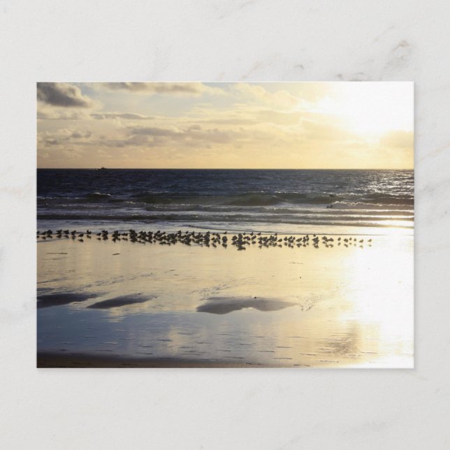 Cartão Postal Califórnia - praia de Manhattan. K (Frente)