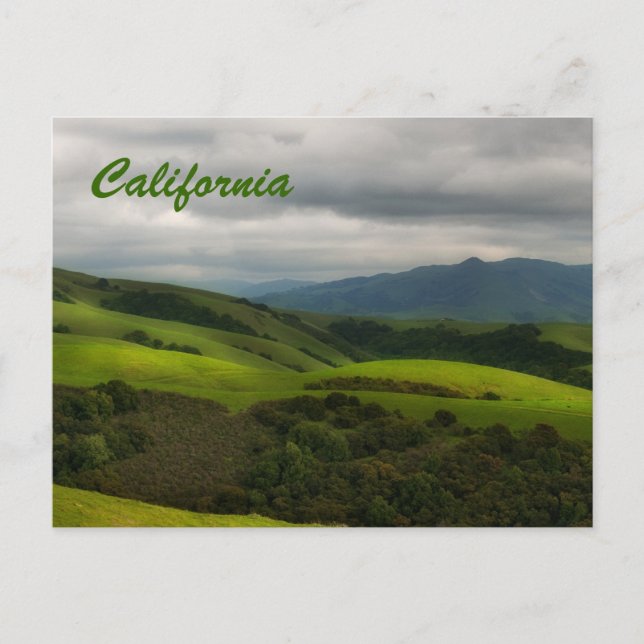Cartão Postal California Primavera Panorama (Frente)