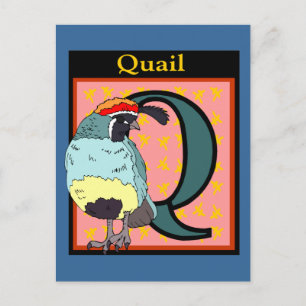 Cartão Postal California Quail Bird