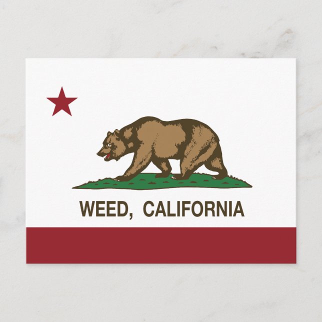 Cartão Postal California Republic Flag Weed (Frente)