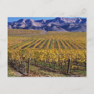 Cartão Postal Califórnia, San Luis Obispo County, Vale de Edna