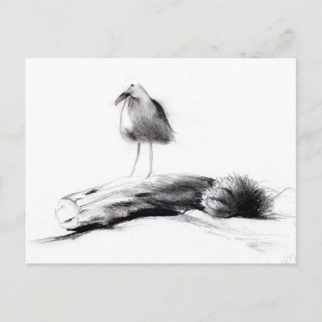 Cartão Postal California Seagull 2012 (Frente)