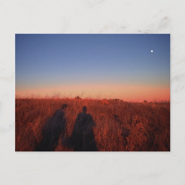 Cartão Postal Califórnia Sunset (Frente)