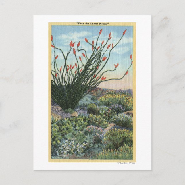 Cartão Postal CaliforniaView de Cactos em Bloom (Frente)