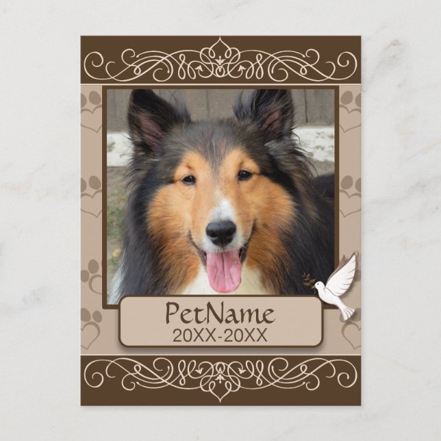 Cartão Postal Caligrafia Castanha Roda Simpatia Personalizada de (Frente)