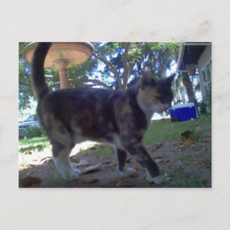 Cartão Postal Calíope