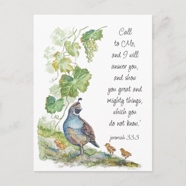 Cartão Postal Call to Me Scripture Inspiration California Quail  (Frente)