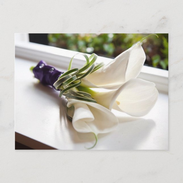 Cartão Postal Calla Lily Card (Frente)
