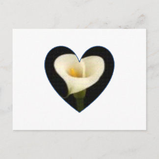 Cartão Postal Calla Lily Heart Postcard