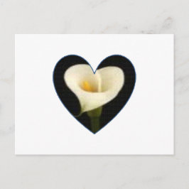 Cartão Postal Calla Lily Heart Postcard
