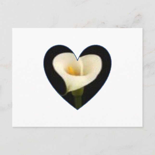 Cartão Postal Calla Lily Heart Postcard (Frente)