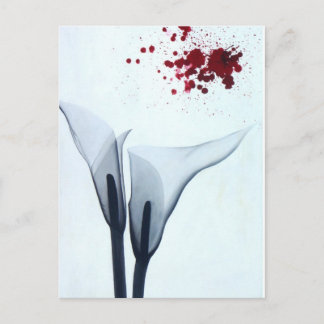 Cartão Postal Calla Lily X-ray