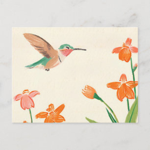 Cartão Postal Calliope Hummingbird em voo