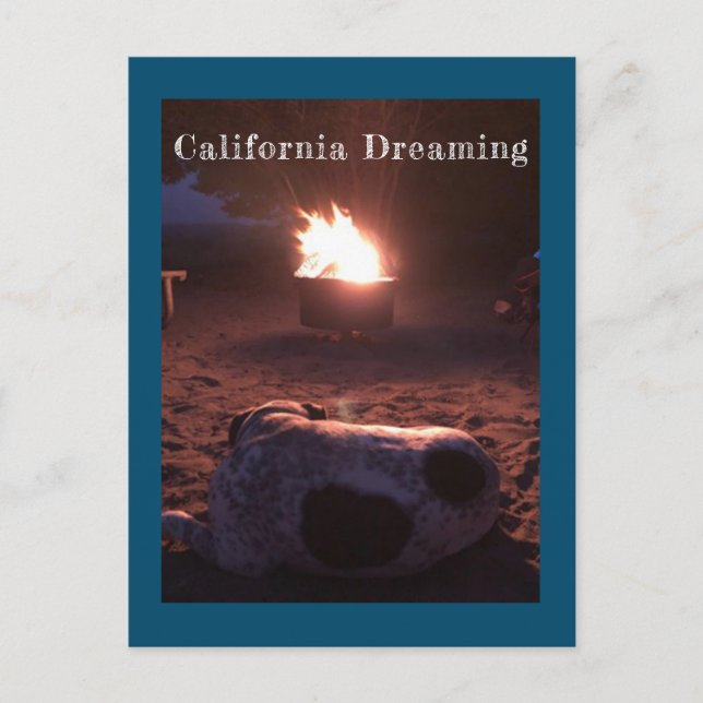 Cartão Postal Calvin, Cão Dormindo (Frente)