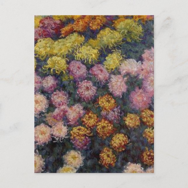 Cartão Postal Cama de Chrysanthemums por Claude Monet (Frente)