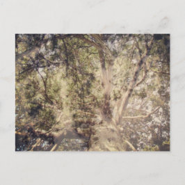 Cartão Postal Camadas de Árvore Arte Digital