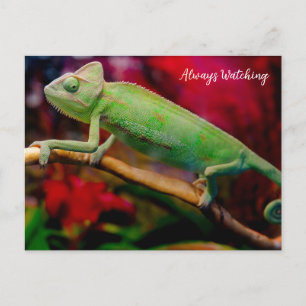 Cartão Postal Camaleão verde no galho