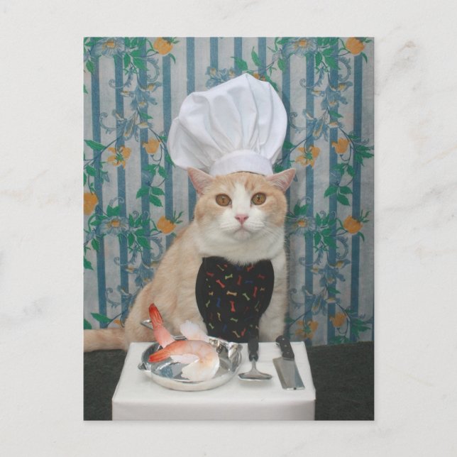 Cartão Postal Camarões grandes! (Frente)