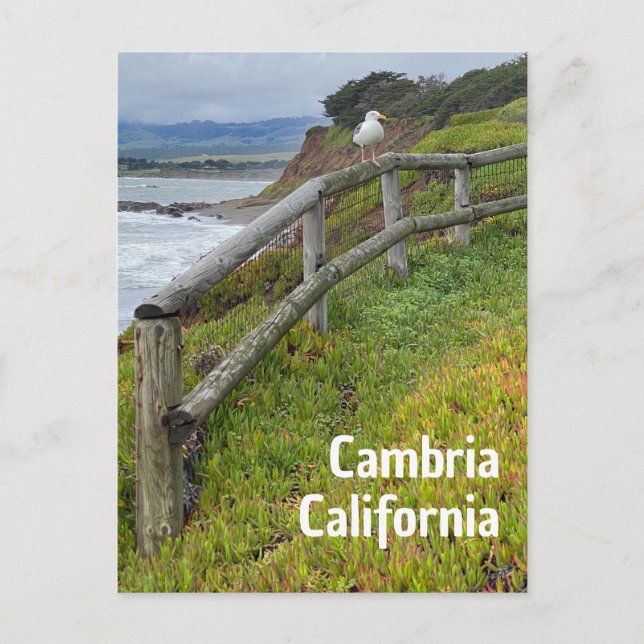 Cartão Postal Câmbria Califórnia (Frente)