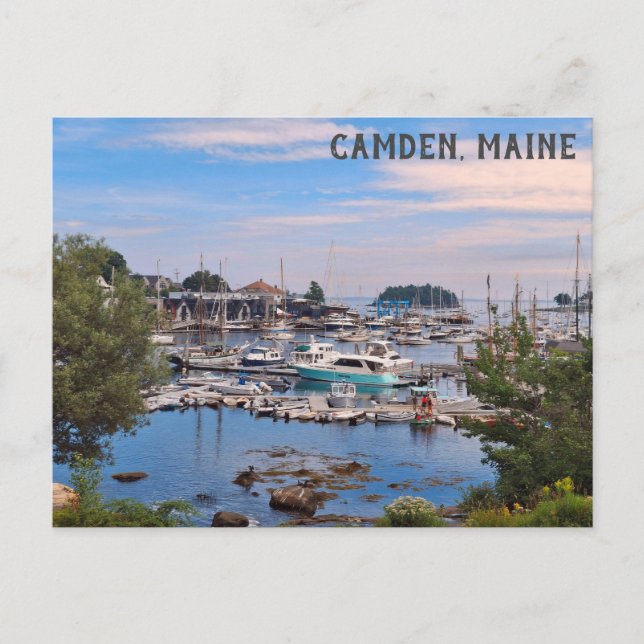 Cartão Postal Camden Maine Harbor Water View Boats (Frente)